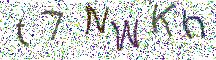 イメージ CAPTCHA