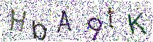 イメージ CAPTCHA