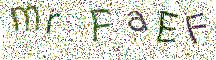 イメージ CAPTCHA