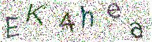 イメージ CAPTCHA