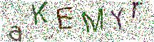 イメージ CAPTCHA
