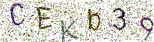イメージ CAPTCHA