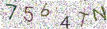 イメージ CAPTCHA