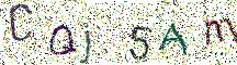 イメージ CAPTCHA