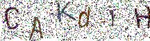 イメージ CAPTCHA