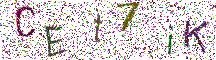 イメージ CAPTCHA