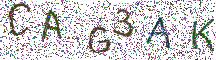 イメージ CAPTCHA