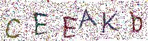 イメージ CAPTCHA