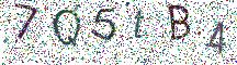 イメージ CAPTCHA