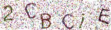 イメージ CAPTCHA