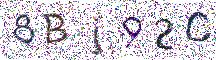 イメージ CAPTCHA