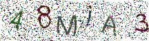 イメージ CAPTCHA