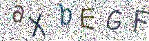イメージ CAPTCHA