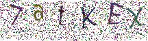 イメージ CAPTCHA