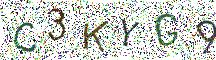 イメージ CAPTCHA