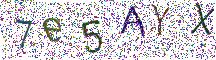 イメージ CAPTCHA