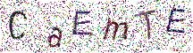 イメージ CAPTCHA