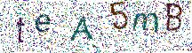 イメージ CAPTCHA