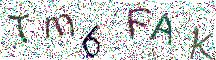 イメージ CAPTCHA