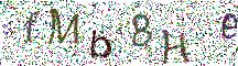 イメージ CAPTCHA