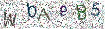 イメージ CAPTCHA