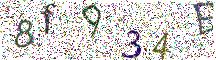 イメージ CAPTCHA
