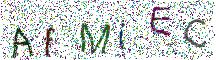イメージ CAPTCHA