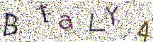 イメージ CAPTCHA