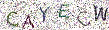 イメージ CAPTCHA