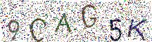 イメージ CAPTCHA