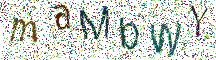 イメージ CAPTCHA